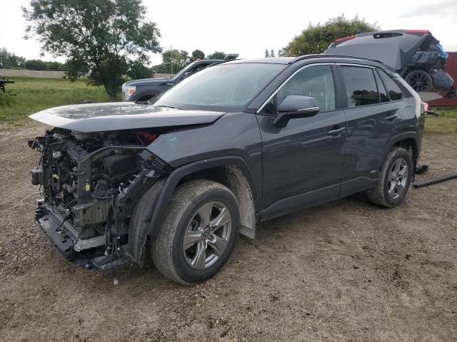 2024 TOYOTA RAV4 XLE, 