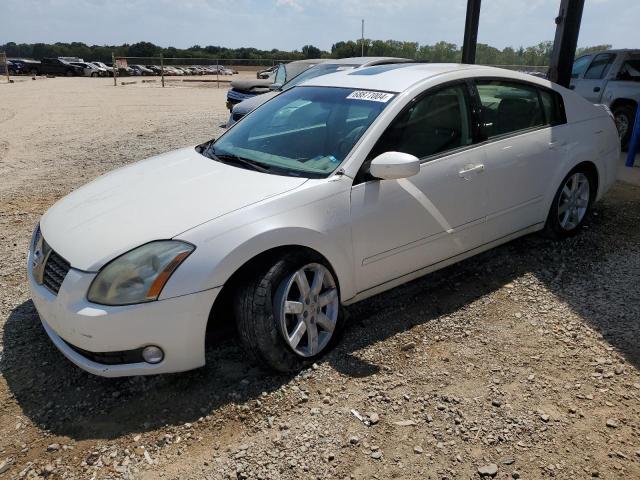 2004 NISSAN MAXIMA SE, 