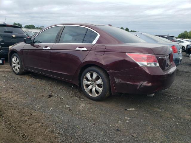 1HGCP36878A049274 - 2008 HONDA ACCORD EXL 勃艮第红 照片 2