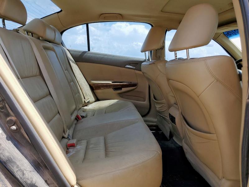 5KBCP3F81AB004506 - 2010 HONDA ACCORD EXL BLACK photo 10