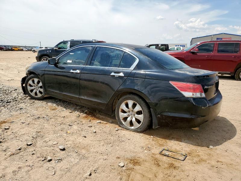 5KBCP3F81AB004506 - 2010 HONDA ACCORD EXL BLACK photo 2