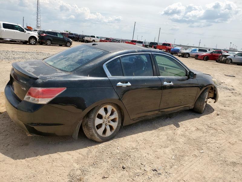 5KBCP3F81AB004506 - 2010 HONDA ACCORD EXL BLACK photo 3