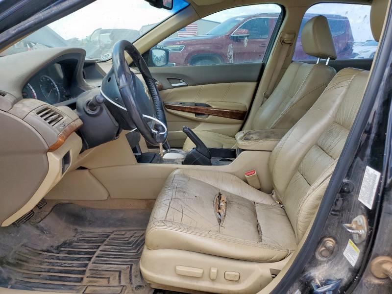 5KBCP3F81AB004506 - 2010 HONDA ACCORD EXL BLACK photo 7