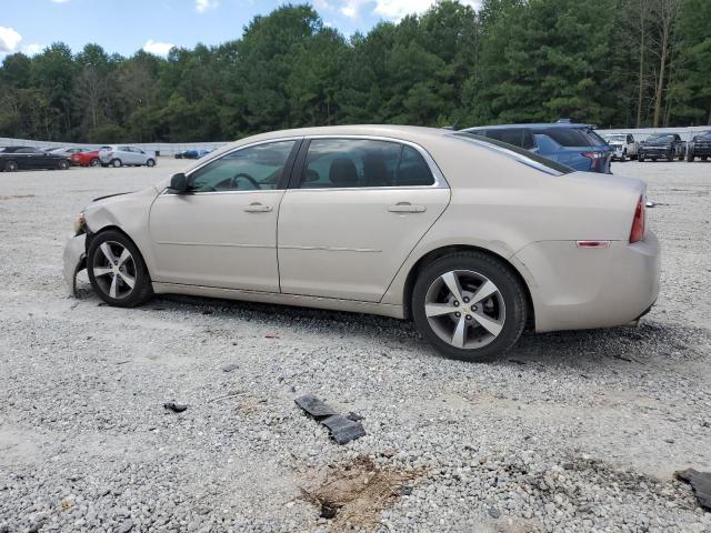 1G1ZJ57B49F222049 - 2009 CHEVROLET MALIBU 2LT GOLD photo 2