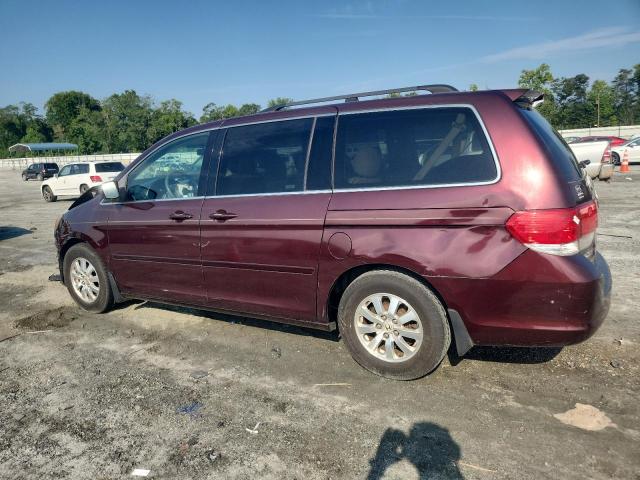 5FNRL38458B042104 - 2008 HONDA ODYSSEY EX 勃艮第红 照片 2