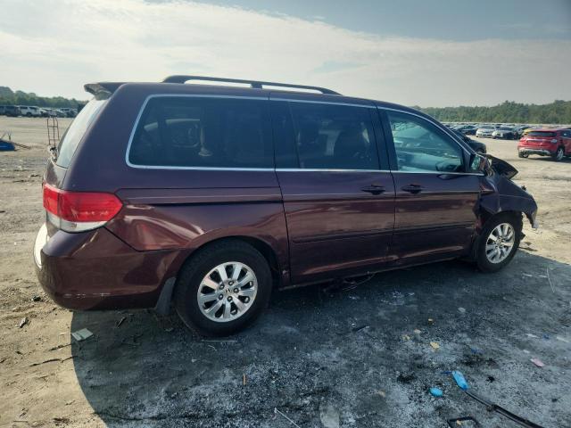 5FNRL38458B042104 - 2008 HONDA ODYSSEY EX 勃艮第红 照片 3