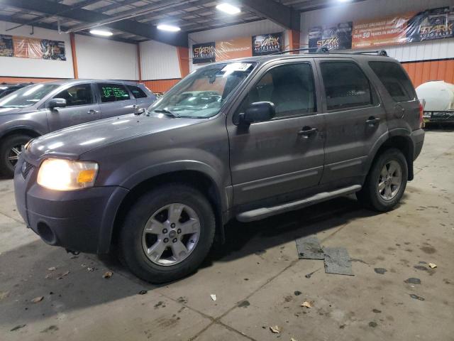 1FMYU03106KA36288 - 2006 FORD ESCAPE XLT GRAY photo 1