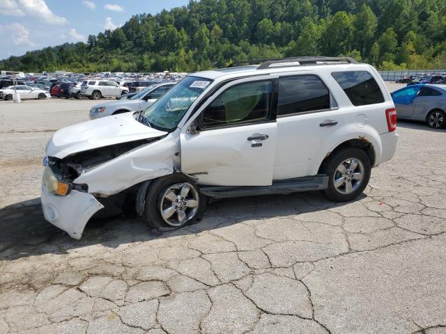 2008 FORD ESCAPE XLT, 