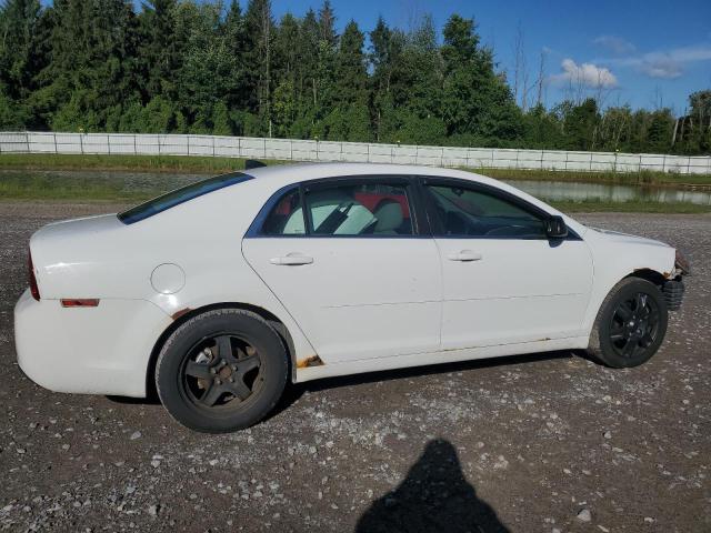 1G1ZB5E09CF165966 - 2012 CHEVROLET MALIBU LS Ağ foto 3