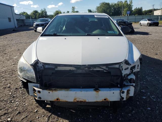 1G1ZB5E09CF165966 - 2012 CHEVROLET MALIBU LS Ağ foto 5