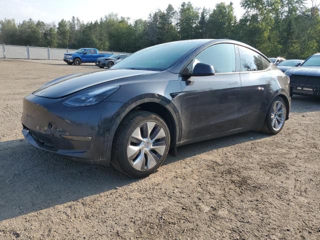 2024 TESLA MODEL Y, 
