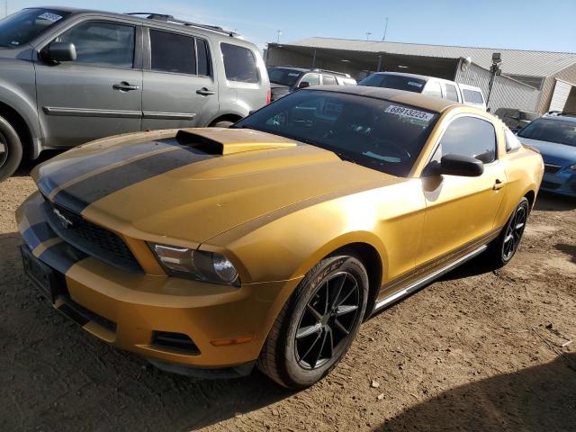 1ZVBP8AN6A5127981 - 2010 FORD MUSTANG GOLD photo 1