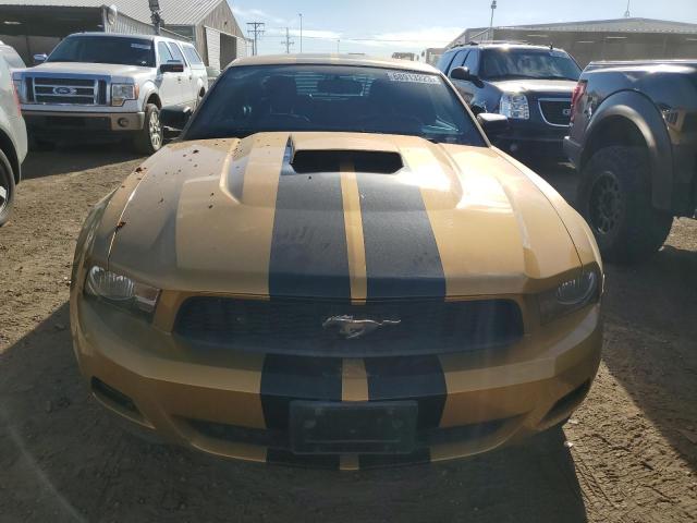 1ZVBP8AN6A5127981 - 2010 FORD MUSTANG GOLD photo 5