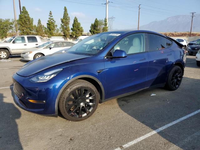 5YJYGAEE8MF229123 - 2021 TESLA MODEL Y BLUE photo 1