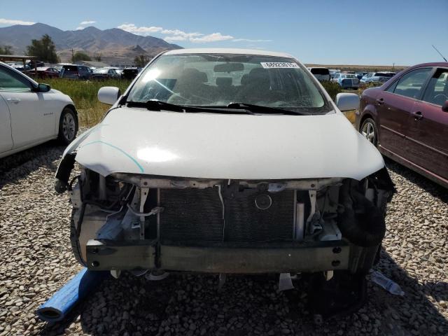 5YFBU4EE1DP102749 - 2013 TOYOTA COROLLA BASE أبيض صورة 5