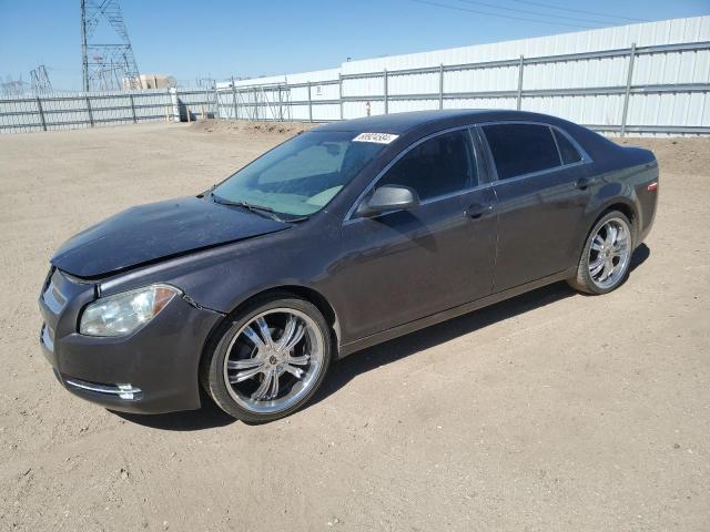 2010 CHEVROLET MALIBU LS, 