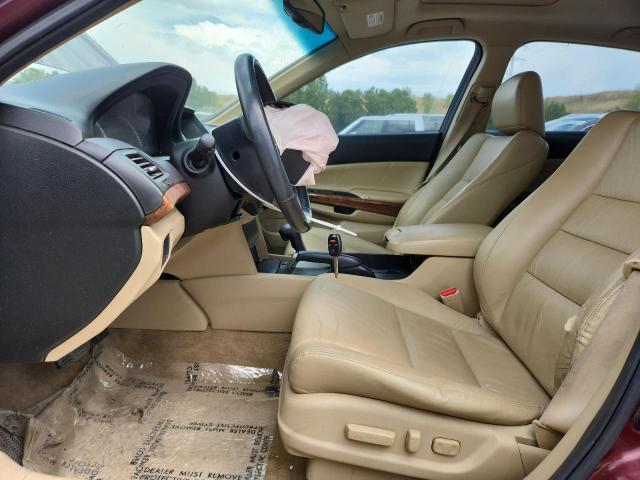 1HGCP3F87CA014484 - 2012 HONDA ACCORD EXL MAROON photo 7