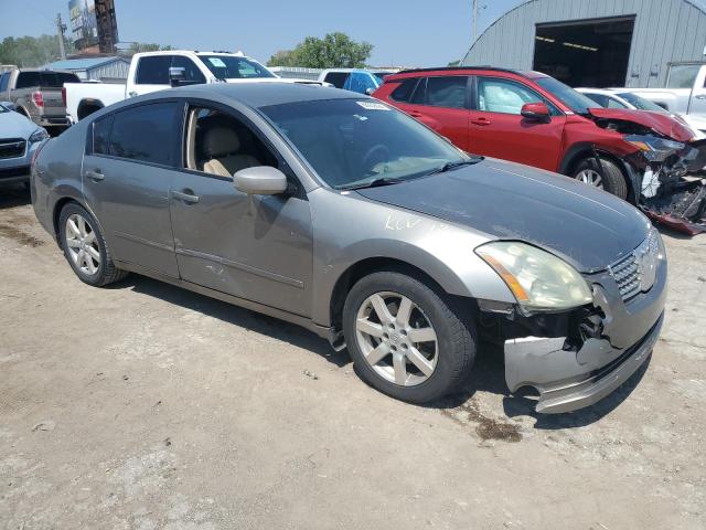 1N4BA41E34C824379 - 2004 NISSAN MAXIMA SE GOLD photo 4