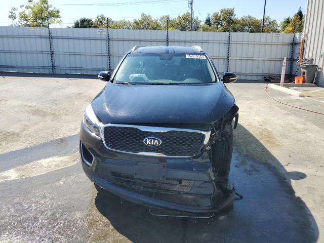 5XYPG4A3XGG037216 - 2016 KIA SORENTO LX BLACK photo 5