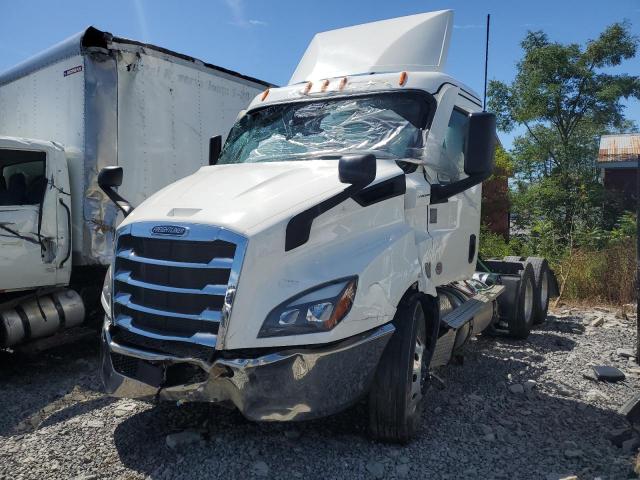 3AKJHTDV9RDVE3330 - 2024 FREIGHTLINER CASCADIA 1 Սպիտակ լուսանկար 2
