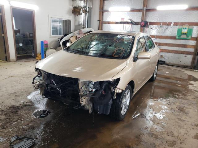 2T1BU4EE1BC579419 - 2011 TOYOTA COROLLA BASE BEIGE photo 1