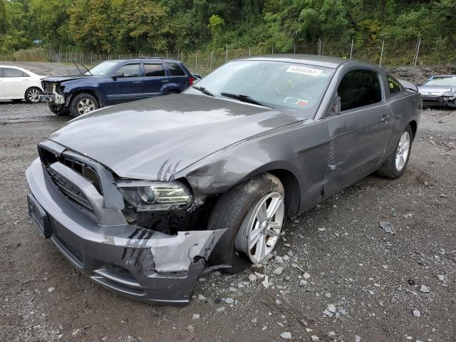 1ZVBP8AM2D5246980 - 2013 FORD MUSTANG SILVER photo 1
