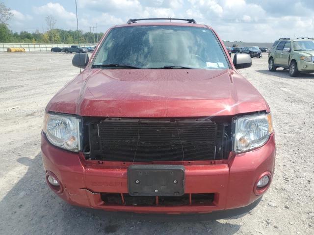 1FMCU0D75CKC15032 - 2012 FORD ESCAPE XLT RED photo 5