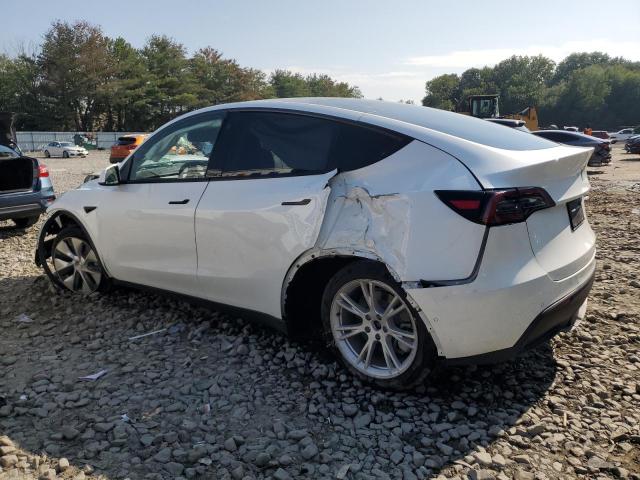 7SAYGAEEXNF365502 - 2022 TESLA MODEL Y Beyaz fotoğraf 2