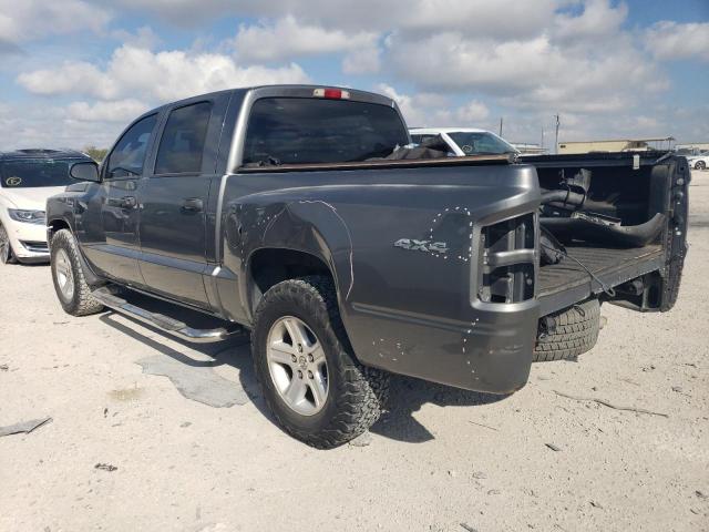 1D7RW3GP6BS598747 - 2011 DODGE DAKOTA SLT GRAY photo 2