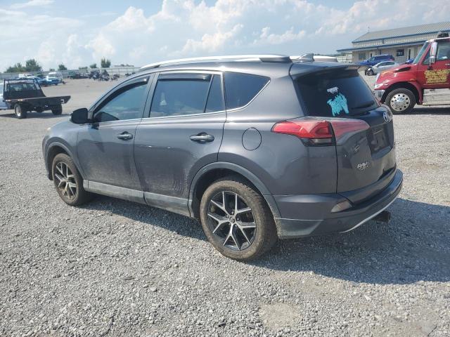 2T3JFREV4GW450123 - 2016 TOYOTA RAV4 SE Boz foto 2