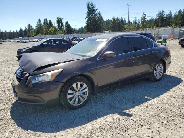 2011 HONDA ACCORD EXL, 