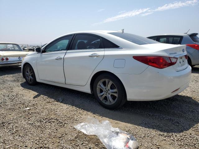 5NPEC4AC2BH059912 - 2011 HYUNDAI SONATA SE WHITE photo 2