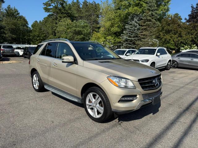 4JGDA5HB2DA118516 - 2013 MERCEDES-BENZ ML 350 4MATIC GOLD photo 2