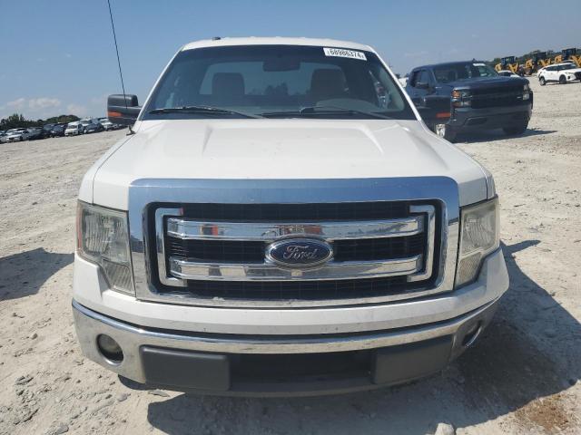1FTMF1CM0DFC46098 - 2013 FORD F150 Beyaz fotoğraf 5