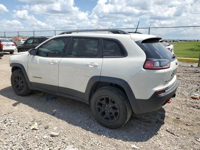1C4PJMBX7KD289015 - 2019 JEEP CHEROKEE TRAILHAWK Ağ foto 2