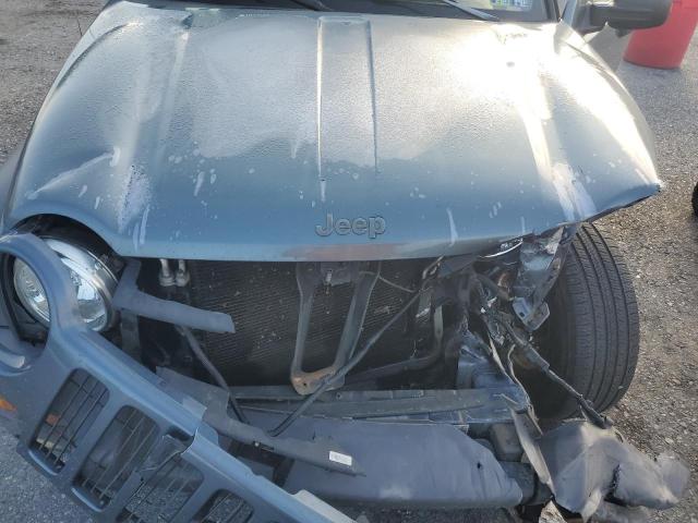 1J4GL48K42W276095 - 2002 JEEP LIBERTY SPORT 蓝色 照片 12