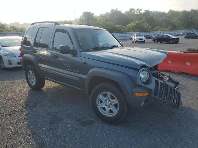 1J4GL48K42W276095 - 2002 JEEP LIBERTY SPORT 蓝色 照片 4