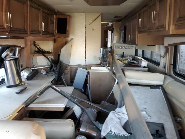 4UZACHFC7KCKP8399 - 2019 FREIGHTLINER CHASSIS XC თაფლისფერი ფოტო 6