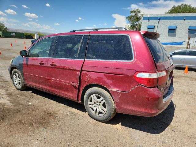 5FNRL38726B110351 - 2006 HONDA ODYSSEY EXL BURGUNDY photo 2