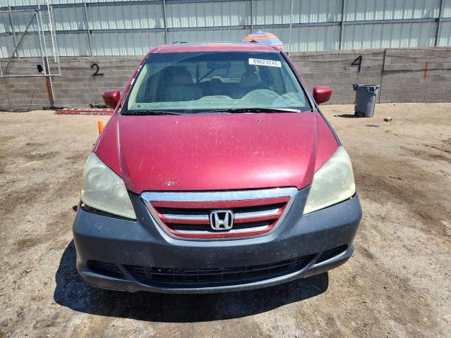 5FNRL38726B110351 - 2006 HONDA ODYSSEY EXL BURGUNDY photo 5