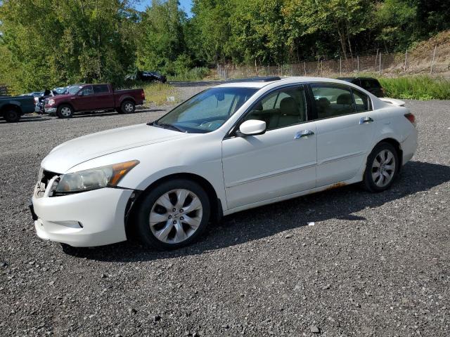2008 HONDA ACCORD EXL, 