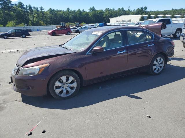 2010 HONDA ACCORD EXL, 