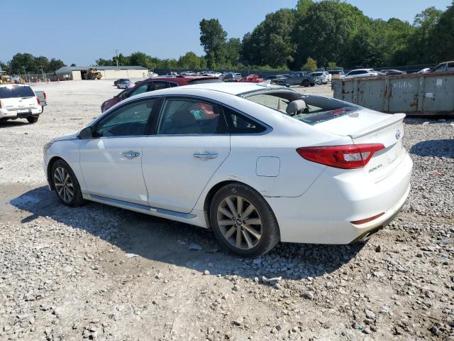5NPE34AF1GH325535 - 2016 HYUNDAI SONATA SPORT 白色 照片 2