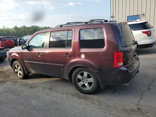 5FNYF4H55BB043830 - 2011 HONDA PILOT EXL 栗色 照片 2