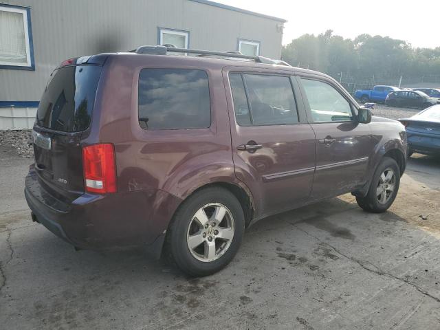 5FNYF4H55BB043830 - 2011 HONDA PILOT EXL 栗色 照片 3