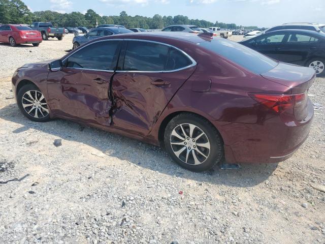 19UUB1F57GA014228 - 2016 ACURA TLX TECH BURGUNDY photo 2