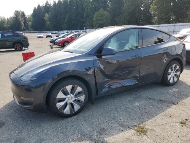 2024 TESLA MODEL Y, 