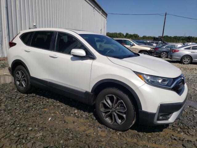 5J6RW2H5XLA020153 - 2020 HONDA CR-V EX 白色 照片 4