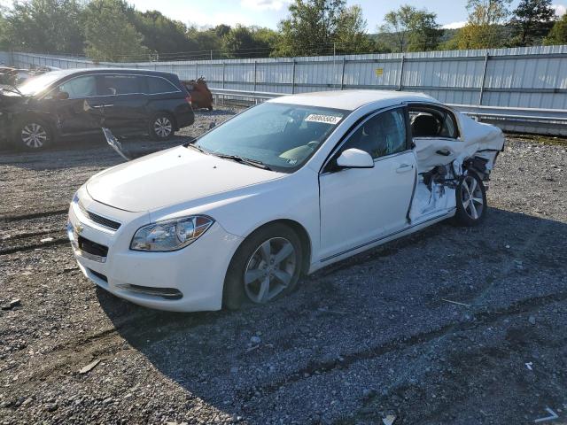 1G1ZC5E18BF211162 - 2011 CHEVROLET MALIBU 1LT 白色 照片 1