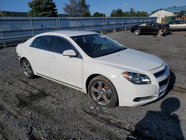 1G1ZC5E18BF211162 - 2011 CHEVROLET MALIBU 1LT 白色 照片 4